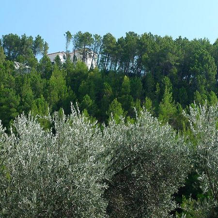 Apartments Maslina Sveti Stefan Exterior photo