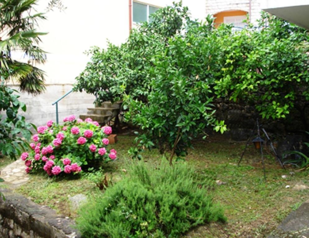 Apartments Maslina Sveti Stefan Exterior photo