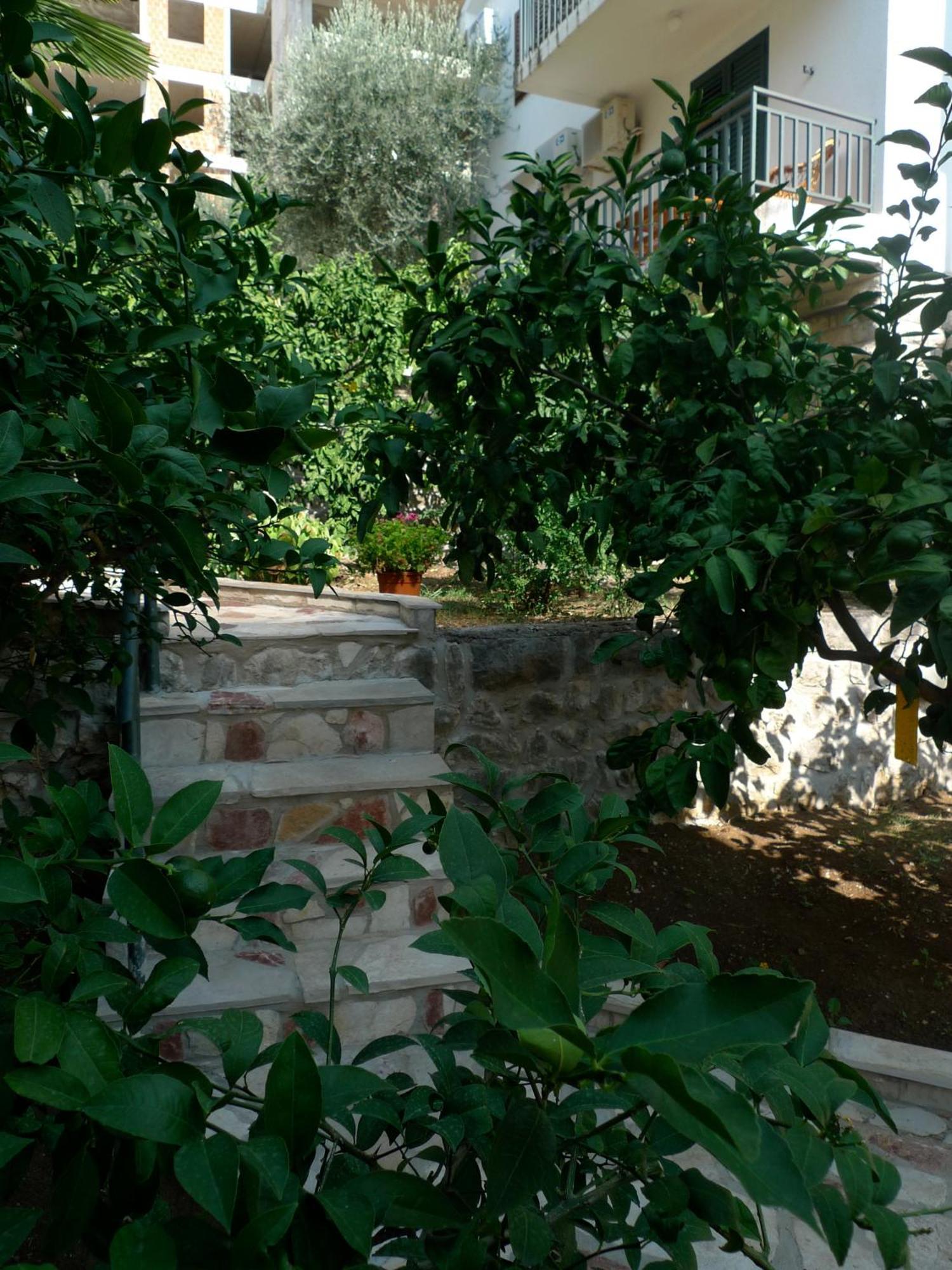 Apartments Maslina Sveti Stefan Exterior photo
